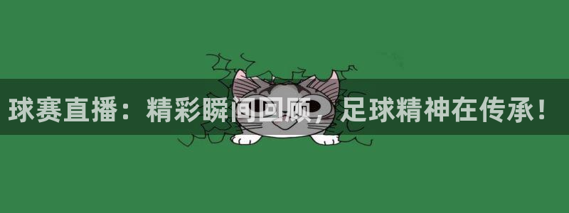 球赛直播：精彩瞬间回顾，足球精神在传承！