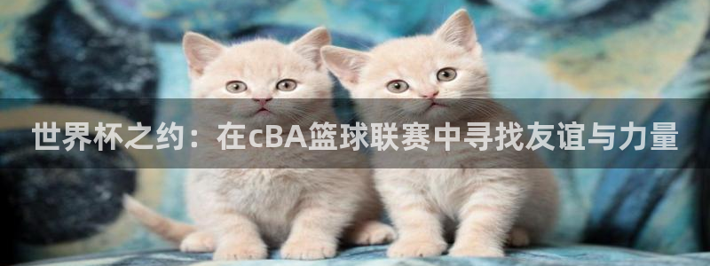 世界杯之约：在cBA篮球联赛中寻找友谊与力量