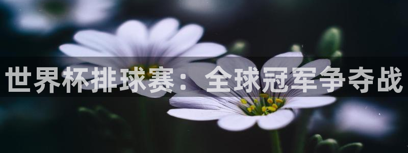 世界杯排球赛：全球冠军争夺战