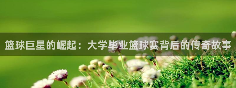 篮球巨星的崛起：大学毕业篮球赛背后的传奇故事