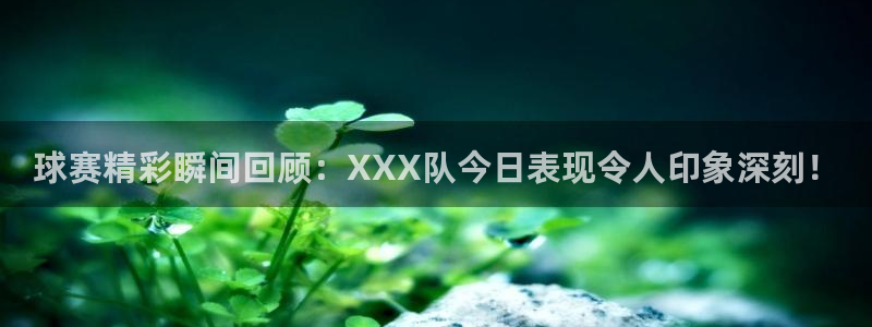 球赛精彩瞬间回顾：XXX队今日表现令人印象深刻！