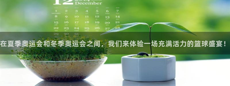在夏季奥运会和冬季奥运会之间，我们来体验一场充满活力的篮球盛