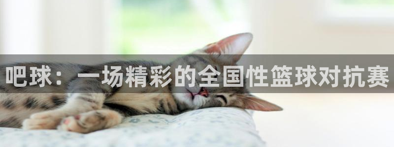 吧球：一场精彩的全国性篮球对抗赛