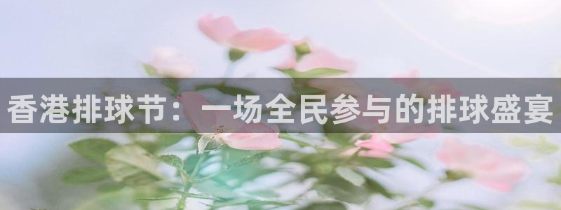 香港排球节：一场全民参与的排球盛宴