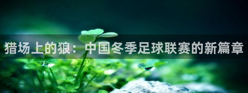 球王会体育平台入口：猎场上的狼：中国冬季足球联赛的新篇章