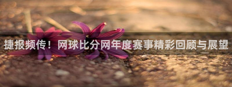 球王会体育下载安装：捷报频传！网球比分网年度赛事精彩回顾与展