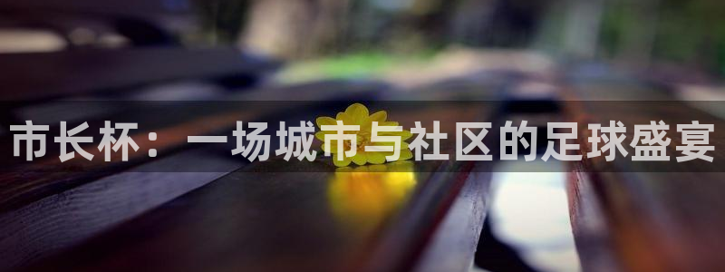 球王会体育app下载：市长杯：一场城市与社区的足球盛宴