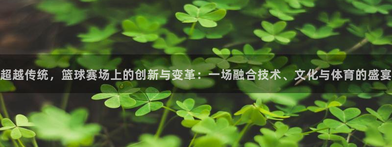 球王会体育官方app:超越传统,篮球赛场上的创新与变革:一场