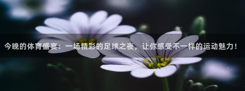 球王会体育:今晚的体育盛宴:一场精彩的足球之夜,让你感受不一