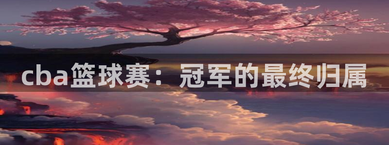 球王会体育全站app:cba篮球赛:冠军的最终归属