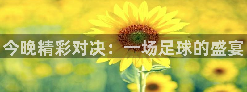球王会体育官方网：今晚精彩对决：一场足球的盛宴